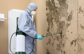 Best Mold Remediation for Healthcare Facilities  in Delhi, CA